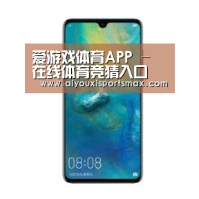 华为无线快充手机