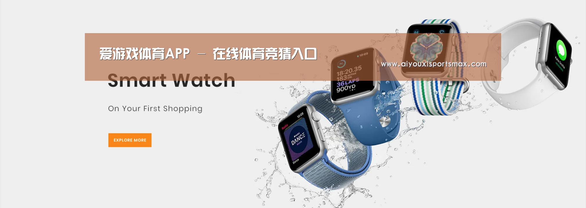 某某网络科技有限公司
