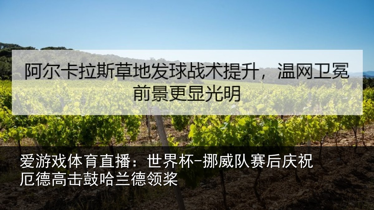 爱游戏体育直播：世界杯-挪威队赛后庆祝相关情况领桨