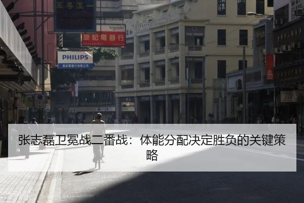 zhang-zhi-lei-wei-mian-zhan-er-fan-zhan-ti-neng-fen-pei-jue-ding-sheng-fu-de-guan-jian-ce-lve-2-162.jpg