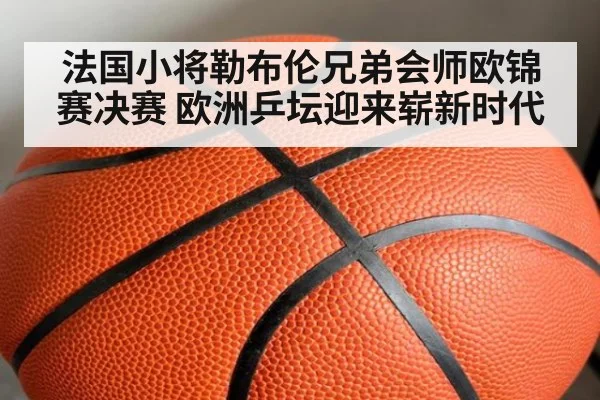 法国小将勒布伦兄弟会师欧锦赛决赛 欧洲乒坛迎来崭新时代