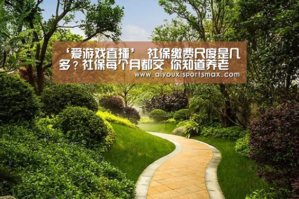 爱游戏赛事