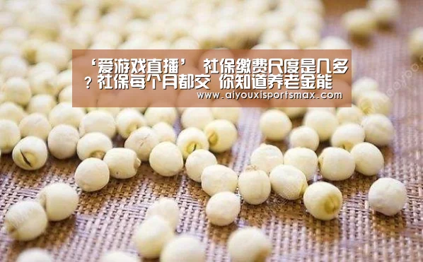 爱游戏赛事